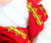 Handmade Regal French Court Dog Clothes Tailcoat Luxury Pet Suit With Shirt Lace and Gold Detailing - GiFTiFY