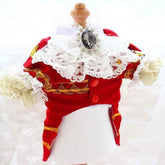 Handmade Regal French Court Dog Clothes Tailcoat Luxury Pet Suit With Shirt Lace and Gold Detailing - GiFTiFY