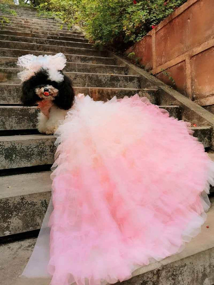 Pink Candy Bloom Gown For Dog - GiFTiFY