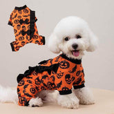 Pet Halloween Four-Legged Costume Pumpkin Head Costume - GiFTiFY