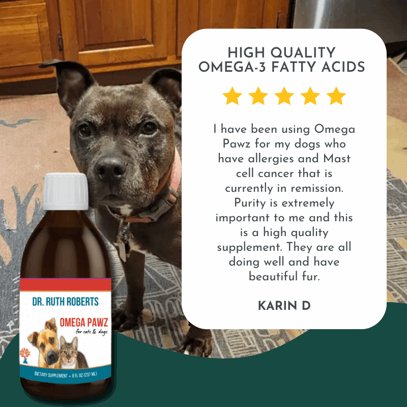 Omega Pawz - Liquid Omega 3 Oil for Dogs and Cats Animals & Pet Supplies by Dr. Ruth Roberts