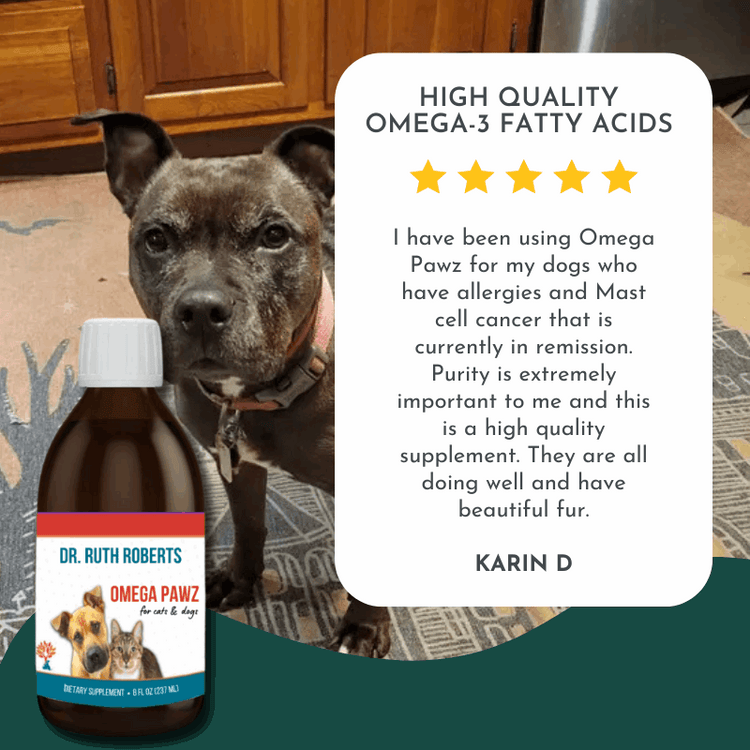 Omega Pawz - Liquid Omega 3 Oil for Dogs and Cats Animals & Pet Supplies by Dr. Ruth Roberts