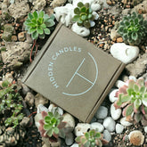 Beach Bungalow Candle Refill - GiFTiFY