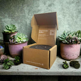 Cozy Tiny Home Candle Refill - GiFTiFY