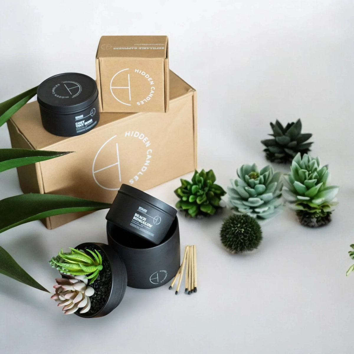 The Hidden Candle Succulent & Candle by Hidden Candles