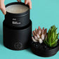 Beach Bungalow Candle Refill