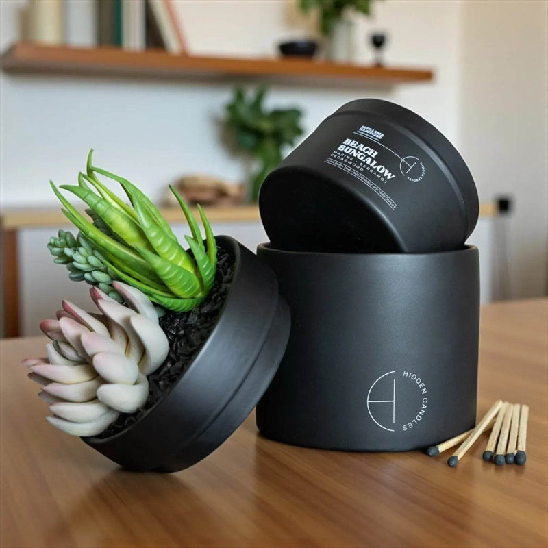 The Hidden Candle Succulent & Candle by Hidden Candles