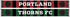 PORTLAND THORNS FC SCARF- Red and Green Bar (HD Knit)