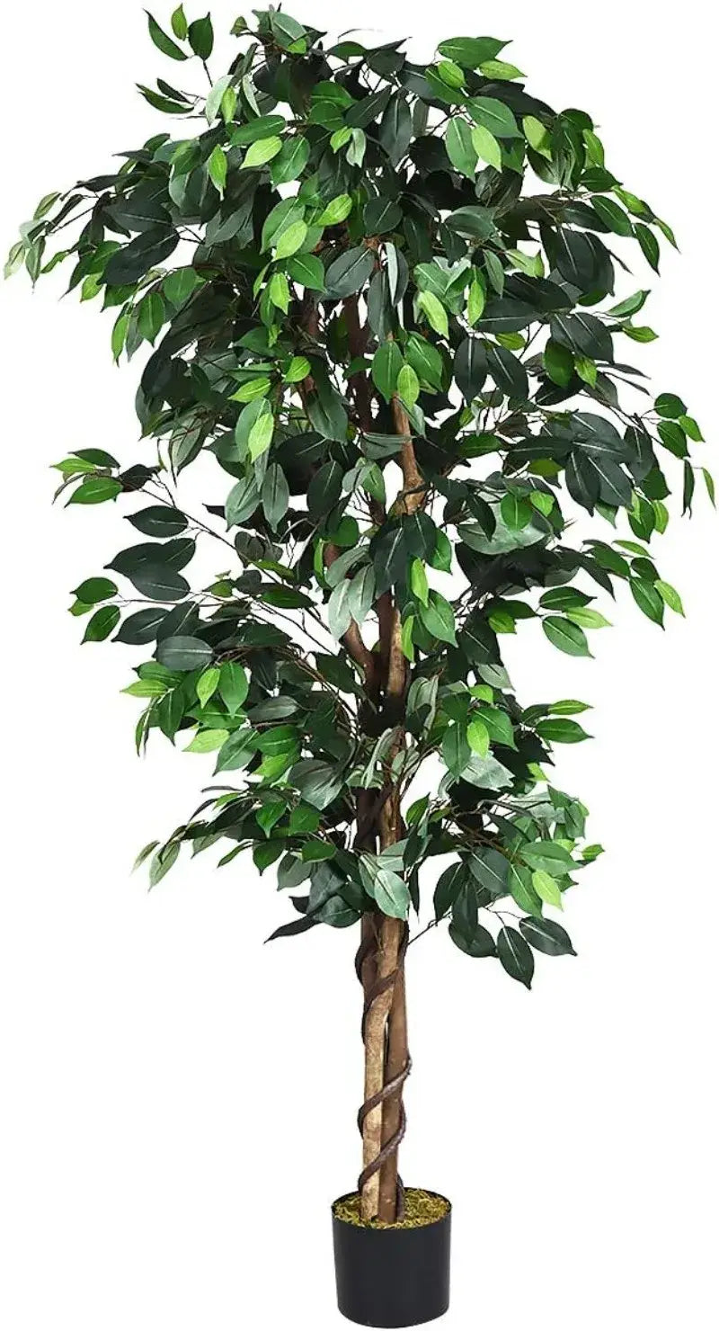 Artificial Ficus Silk Tree in Black Pot