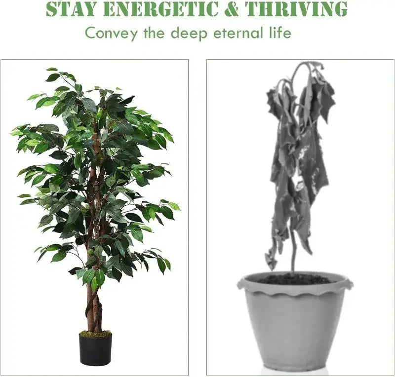 Artificial Ficus Silk Tree in Black Pot