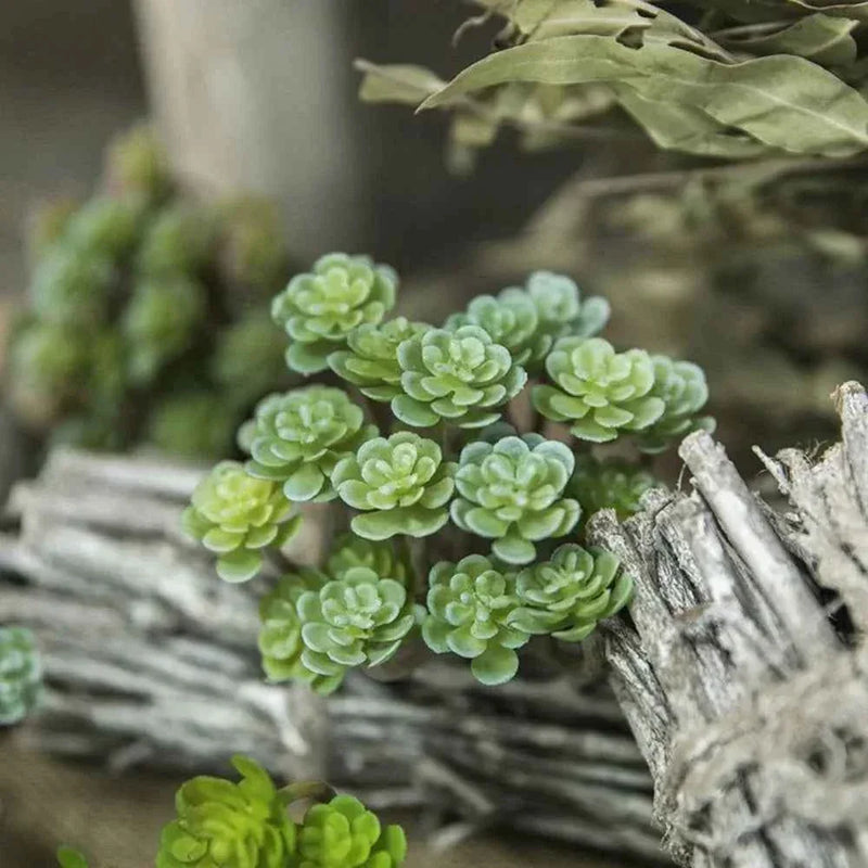 24 Heads Mini Artificial Cactus Plant Plastic Realistic Artificial Succulent Plant Real Touch Micro Landscape Decoration by DSERS