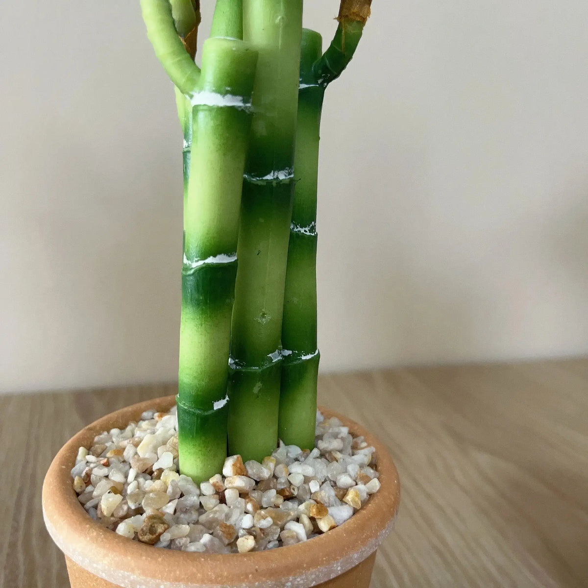 Artificial Lucky Bamboo Plant Green Potted Garden Outdoor Living Room Desktop Aesthetic Space Tropical Rainforest Home Decor by DSERS