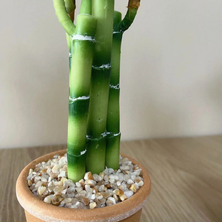 Artificial Lucky Bamboo Plant Green Potted Garden Outdoor Living Room Desktop Aesthetic Space Tropical Rainforest Home Decor