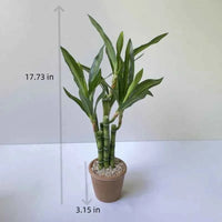 Artificial Lucky Bamboo Plant Green Potted Garden Outdoor Living Room Desktop Aesthetic Space