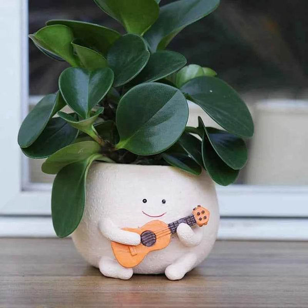 Smily Face Planter Pot With Drainage Hole Cute Resin For String Of Plant Unique Guitar Succulent Pots For Indoor - GiFTiFY