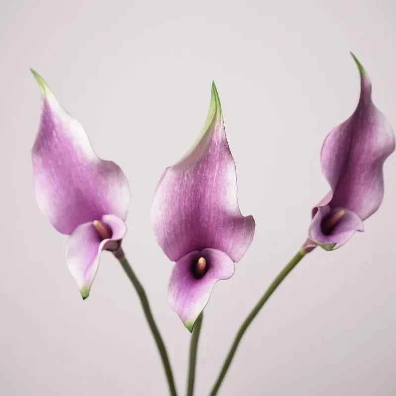 5pcs PU Alocasia Calla Lily Artificial Flowers Diy Wedding Decor Bride Holding Bouquet Calla Home Party Design Business Floral by DSERS