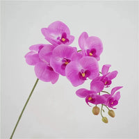 Real Touch Artificial Orchid Flowers 9 Heads White Phalaenopsis Long Stem Yellow Faux Orchids