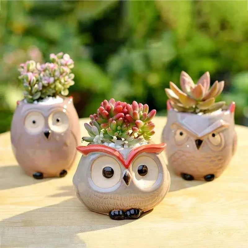 Ceramic Owl Flower Pot Garden Office Decoration Succulent Mini Owl Flowerpot Cute Animal Flowerpot Cactus Plants Planters by DSERS