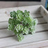 24 Heads Mini Artificial Cactus Plant Plastic Realistic Artificial Succulent Plant Real Touch Micro Landscape Decoration