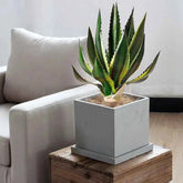 Artificial Aloe Vera Fake Succulents Simulated Agave Green Tropical Leaves Garden Balcony Office Christmas Party Home Deco Plant
