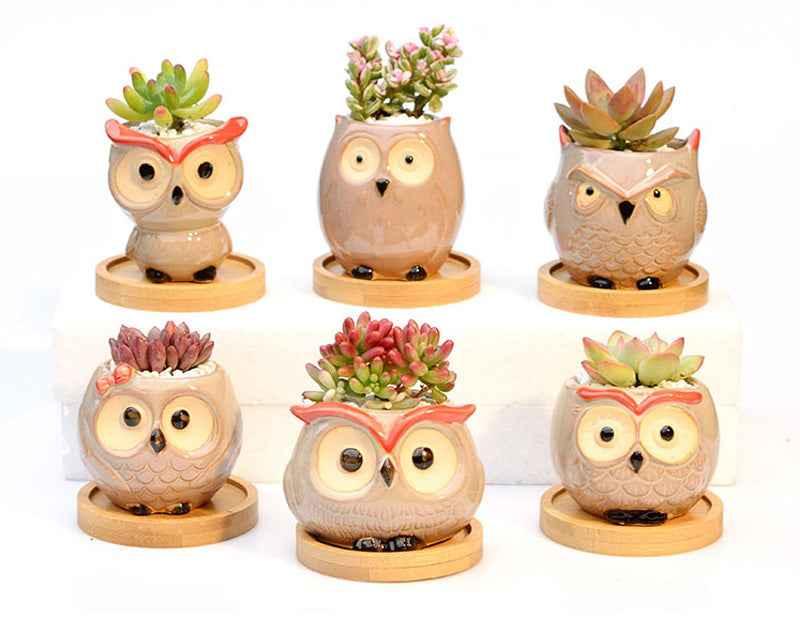 Ceramic Owl Flower Pot Garden Office Decoration Succulent Mini Owl Flowerpot Cute Animal Flowerpot Cactus Plants Planters