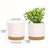 2pcs, 4.7nch Flower Pot Set, Indoor Plant Pots With Drainage Holes And Removable Base, Outdoor Garden Flower Pots Saucer Style M - GiFTiFY