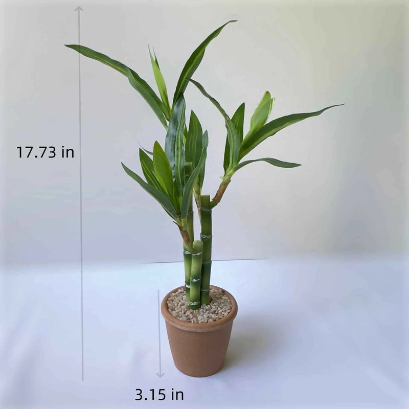 Artificial Lucky Bamboo Plant Green Potted Garden Outdoor Living Room Desktop Aesthetic Space Tropical Rainforest Home Decor by DSERS