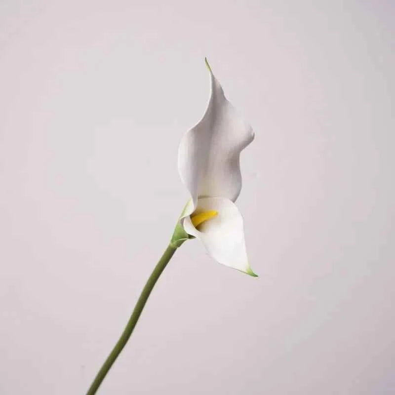 5pcs PU Alocasia Calla Lily Artificial Flowers Diy Wedding Decor Bride Holding Bouquet Calla Home Party Design Business Floral