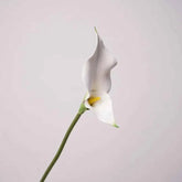 5pcs PU Alocasia Calla Lily Artificial Flowers Diy Wedding Decor Bride Holding Bouquet Calla Home Party Design Business Floral