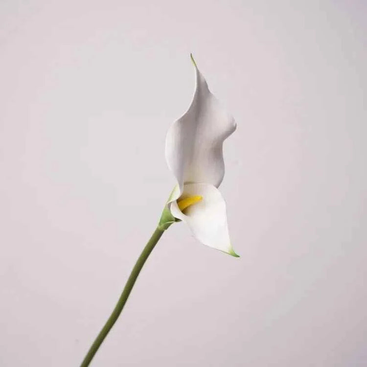 5pcs PU Alocasia Calla Lily Artificial Flowers Diy Wedding Decor Bride Holding Bouquet Calla Home Party Design Business Floral