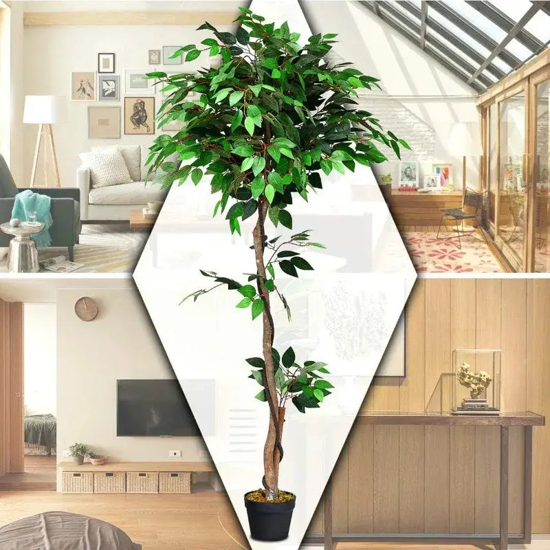 Artificial Ficus Silk Tree in Black Pot