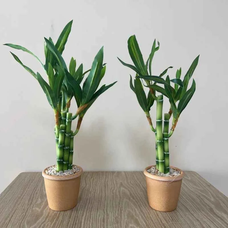 Artificial Lucky Bamboo Plant Green Potted Garden Outdoor Living Room Desktop Aesthetic Space Tropical Rainforest Home Decor by DSERS