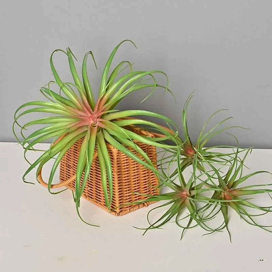 Artificial Green Plant Air Grass Succulent Miniature Potted Garden for Outdoor Desktop Living Room Home Decor