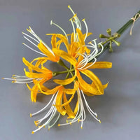 60cm Artificial Higanbana Flower Branch Handmade