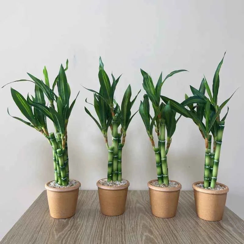 Artificial Lucky Bamboo Plant Green Potted Garden Outdoor Living Room Desktop Aesthetic Space Tropical Rainforest Home Decor by DSERS