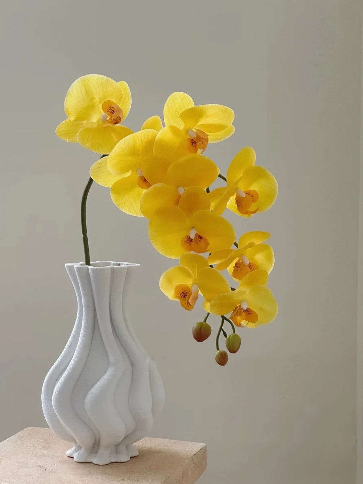 Real Touch Artificial Orchid Flowers 9 Heads White Phalaenopsis Long Stem Yellow Faux Orchids for Home Wedding Centerpiece Decor by DSERS