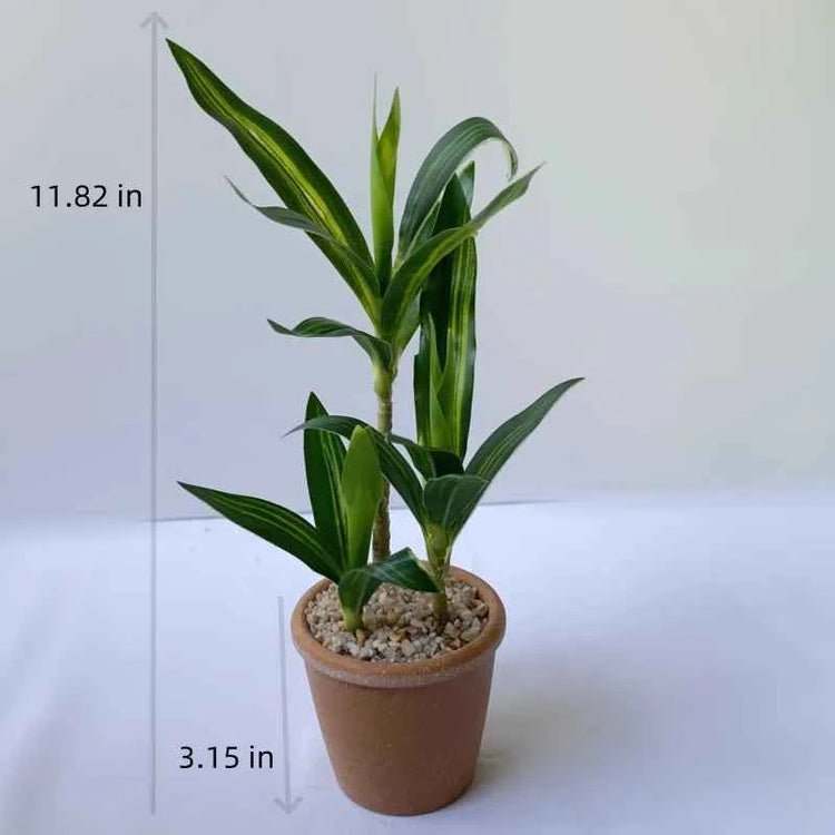 Artificial Lucky Bamboo Plant Green Potted Garden Outdoor Living Room Desktop Aesthetic Space Tropical Rainforest Home Decor