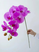 Real Touch Artificial Orchid Flowers 9 Heads White Phalaenopsis Long Stem Yellow Faux Orchids for Home Wedding Centerpiece Decor