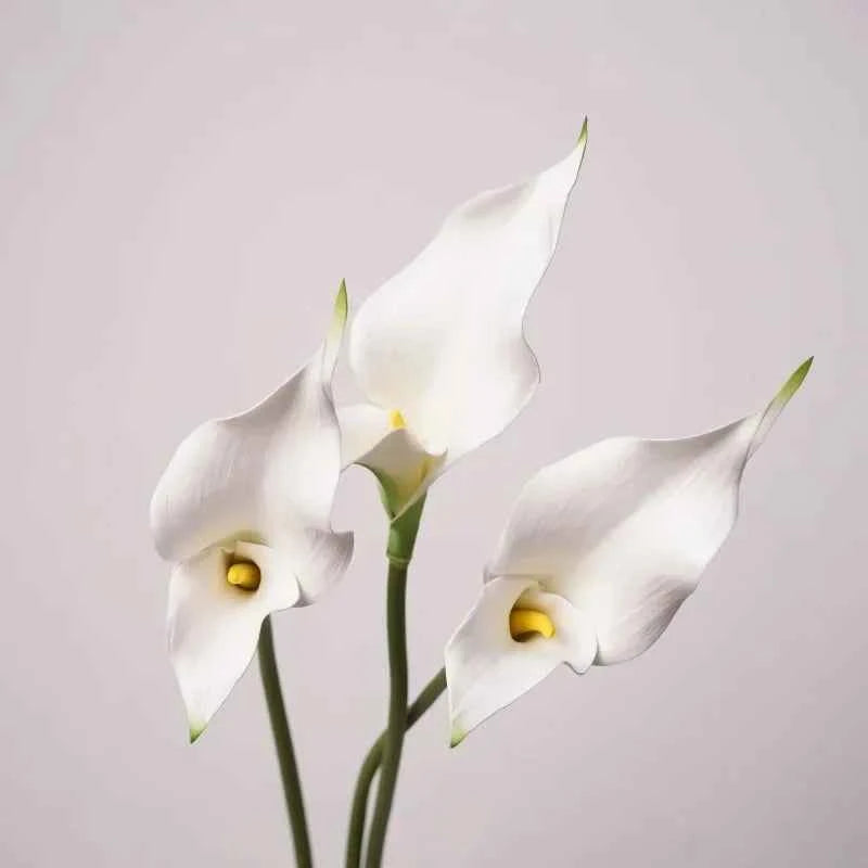 5pcs PU Alocasia Calla Lily Artificial Flowers Diy Wedding Decor Bride Holding Bouquet Calla Home Party Design Business Floral by DSERS
