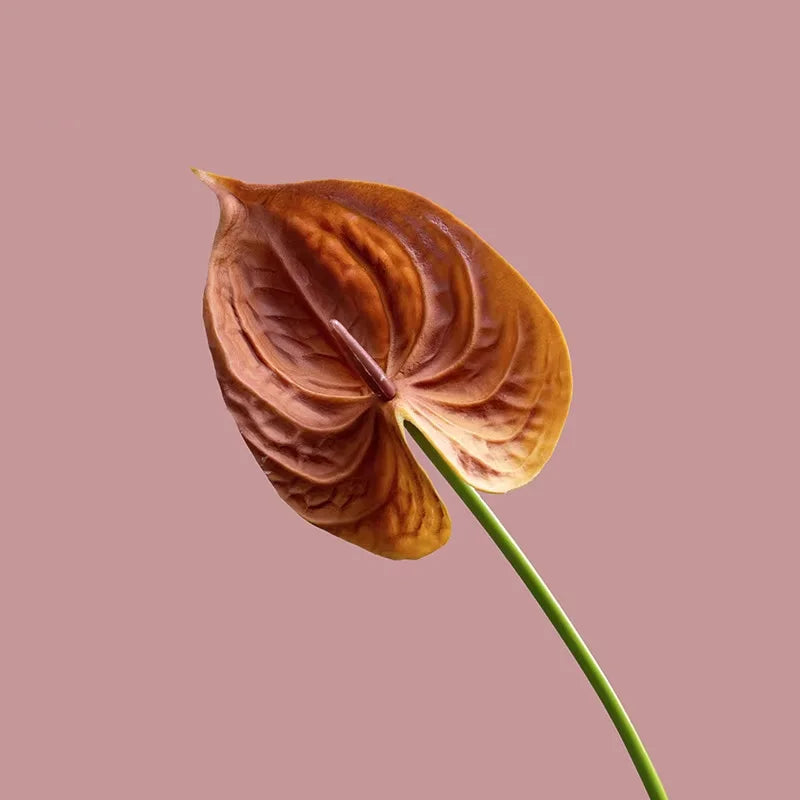 10Pc/lot PU Artificial Flowers Anthurium Bridal Bouquet Wedding Decoration Fake Palm Flowers Home Party Table Floral Arrangement by DSERS