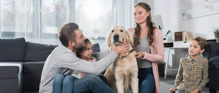 Sejoy Electric Razor for Men Rechargeable Electric Razor Shaving Machines Mens Electric Shavers, - GiFTiFY