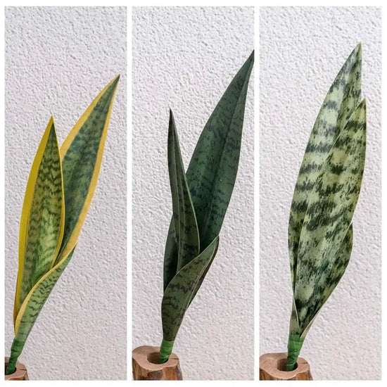 Aritificial Snake Plant Home Decorations Wedding Supply School Eucalyptus Plant for Indoor Outdoor Home Bedroom Garden Decor