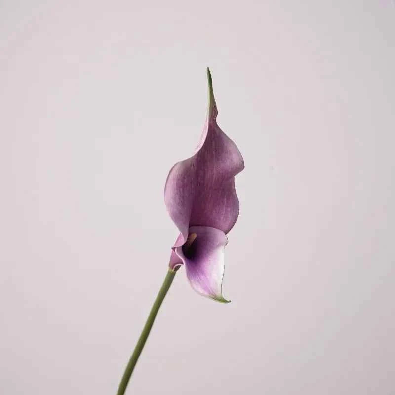 5pcs PU Alocasia Calla Lily Artificial Flowers Diy Wedding Decor Bride Holding Bouquet Calla Home Party Design Business Floral