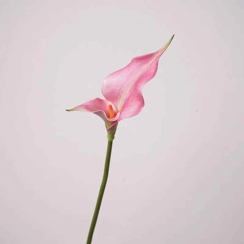 5pcs PU Alocasia Calla Lily Artificial Flowers Diy Wedding Decor Bride Holding Bouquet Calla Home Party Design Business Floral by DSERS