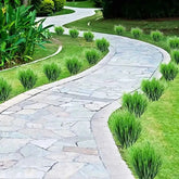 1pc Artificial Plant Plastic Persian Fern Flowers Home garden Wedding outdoors Party Balcony Decor Arrangement Festival Diy gift