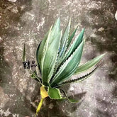 Artificial Aloe Vera Fake Succulents Simulated Agave Green Tropical Leaves Garden Balcony Office Christmas Party Home Deco Plant