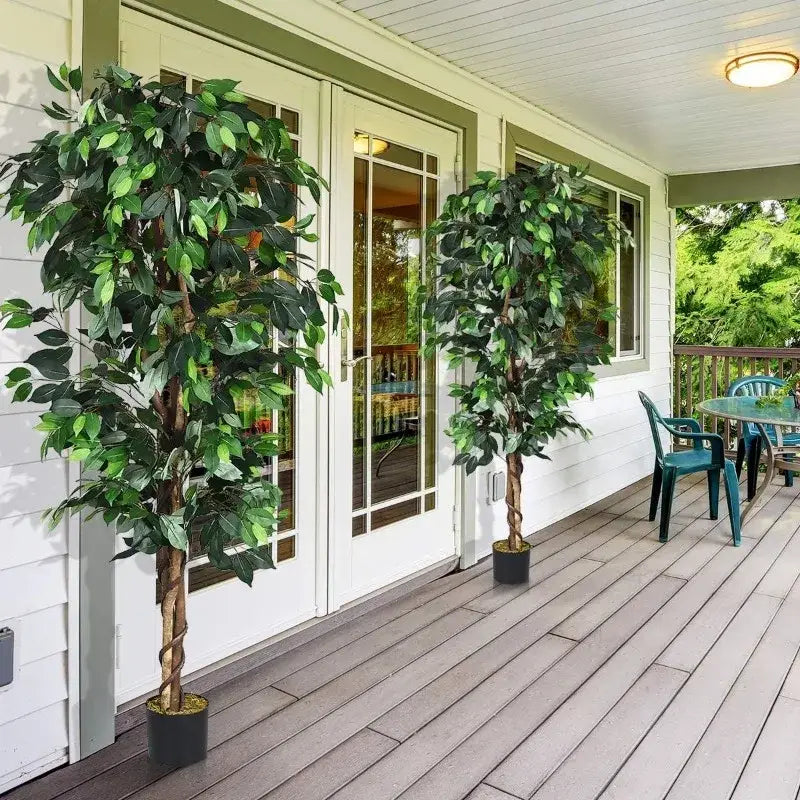 Artificial Ficus Silk Tree in Black Pot
