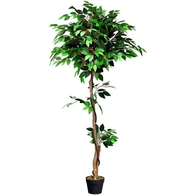 Artificial Ficus Silk Tree in Black Pot
