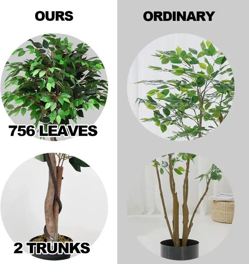 Artificial Ficus Silk Tree in Black Pot