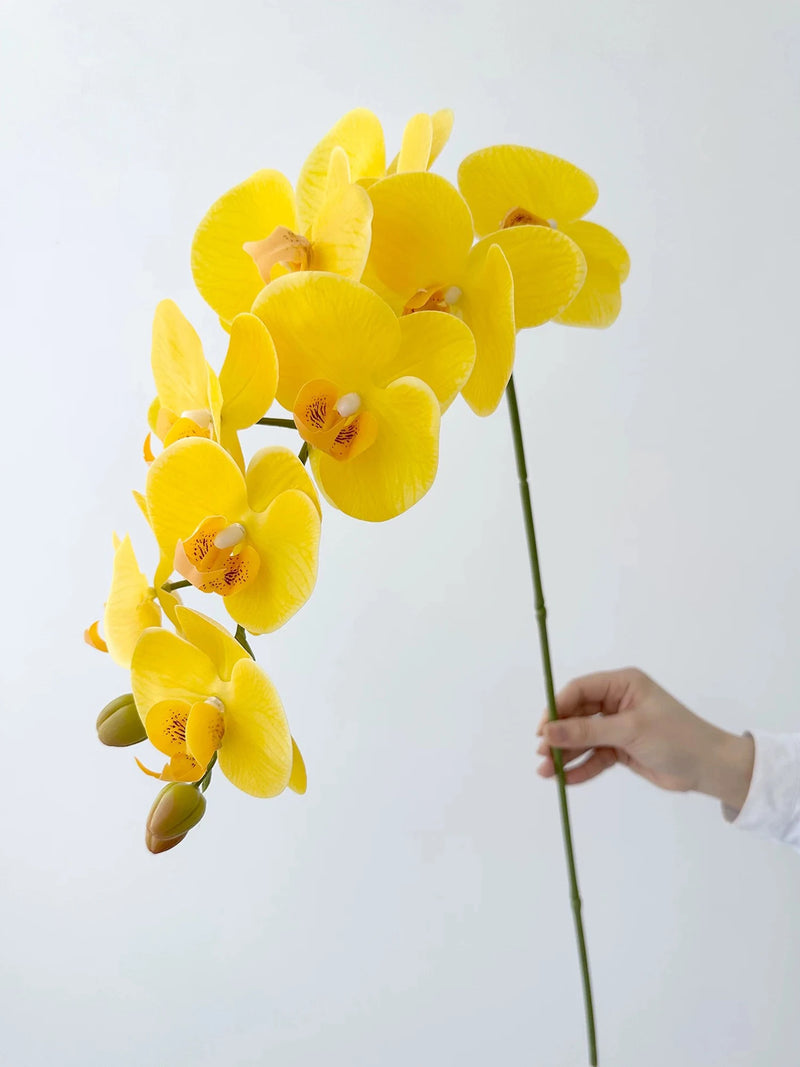 Real Touch Artificial Orchid Flowers 9 Heads White Phalaenopsis Long Stem Yellow Faux Orchids for Home Wedding Centerpiece Decor by DSERS